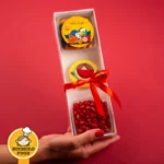 پک یلدایی با بسته‌بندی مقوایی شماره ۱
